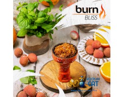 Табак Burn Bliss (Личи Мята) 25г Акцизный